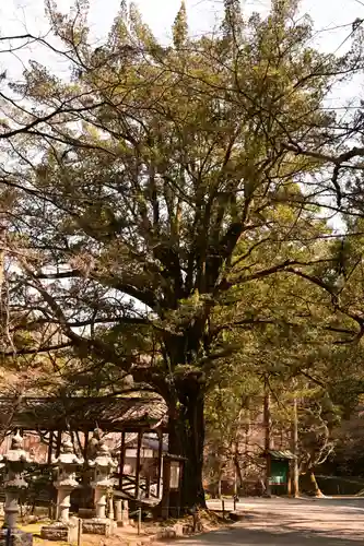 佛通寺(広島県)