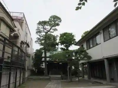 稲荷神社・大鷲神社(東京都)