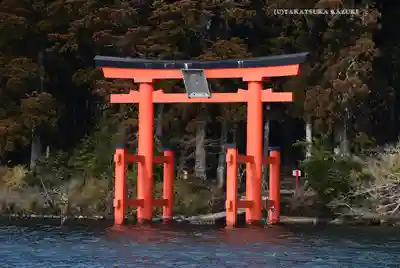 箱根神社(神奈川県)
