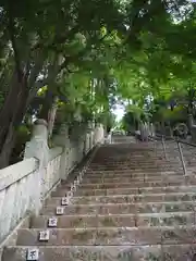 箸蔵寺の建物その他