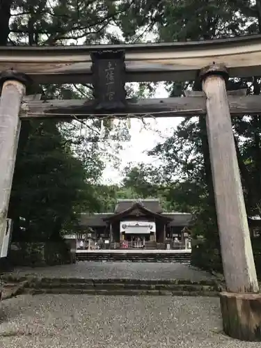 土佐神社の鳥居