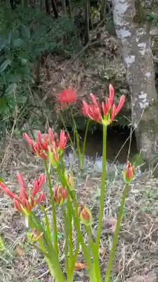 寂光院(京都府)