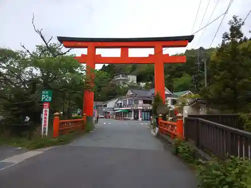 箱根神社の鳥居