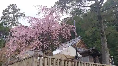 平岡八幡宮の自然