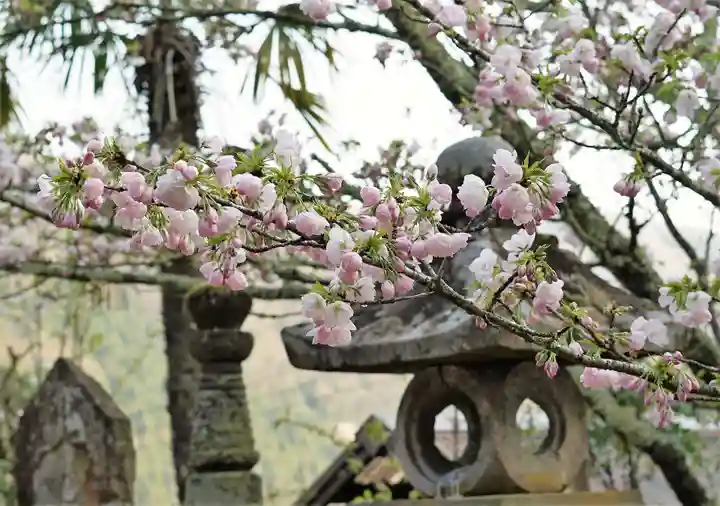 赤堂観音の自然