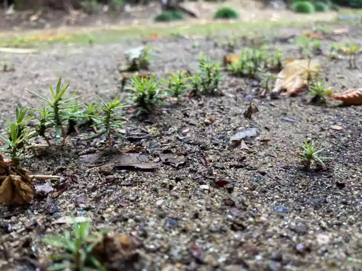 水守神社(福島県)