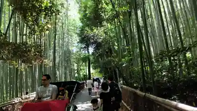野宮神社(京都府)