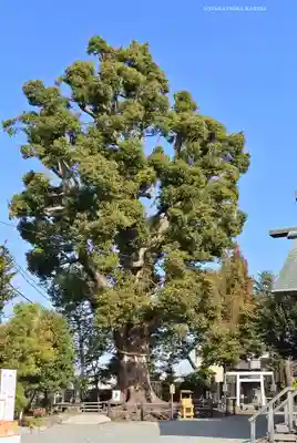 日々神社(神奈川県)