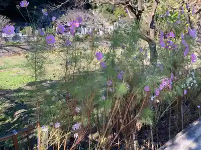 龍寳寺（龍宝寺）(神奈川県)
