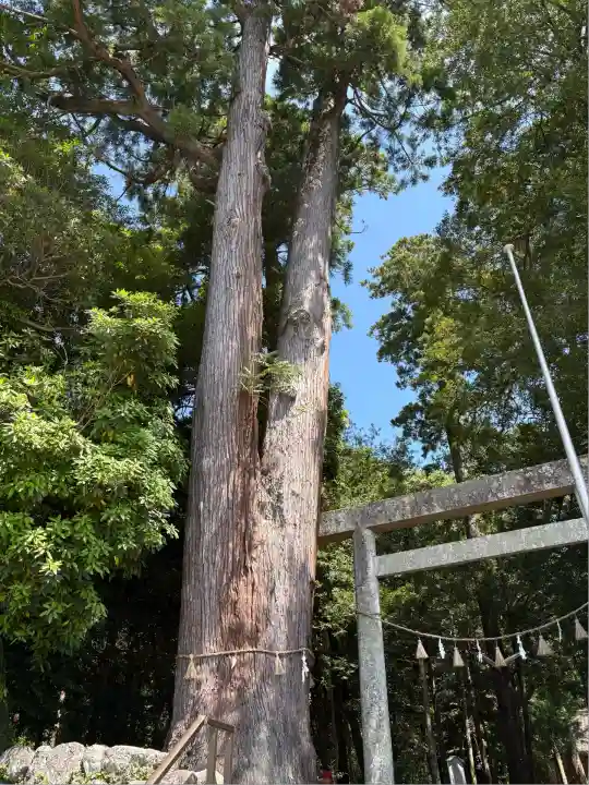 産田神社(三重県)