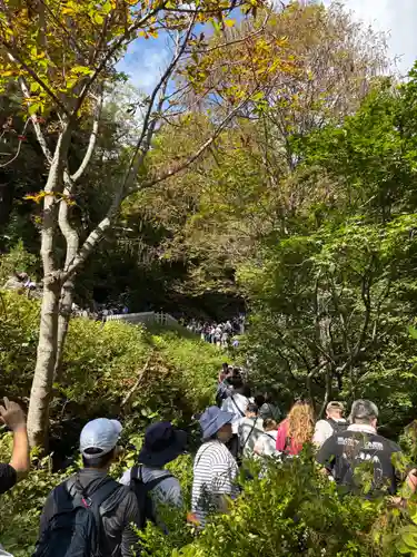 戸隠神社奥社の御朱印