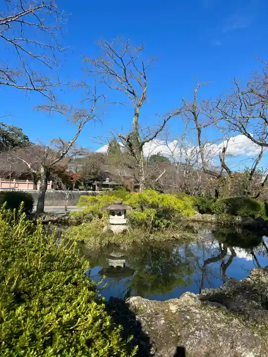 富士山本宮浅間大社(静岡県)