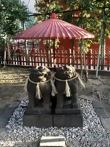 浅草神社の狛犬