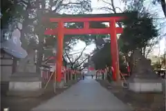 花園神社の鳥居