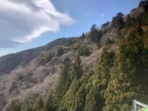 大山阿夫利神社の景色