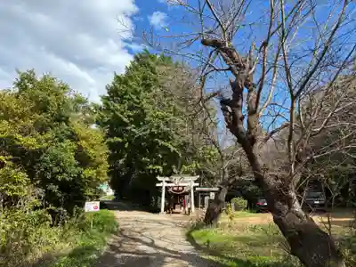 横戸元池辨天宮(千葉県)