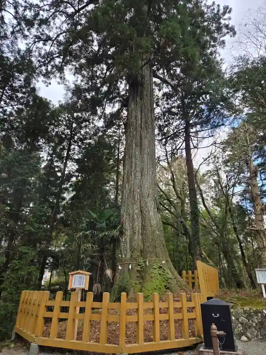 須山浅間神社(静岡県)