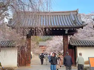 醍醐寺の山門・神門