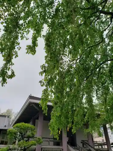 常圓寺のその他建物