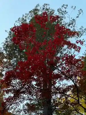 諏訪大社下社秋宮(長野県)