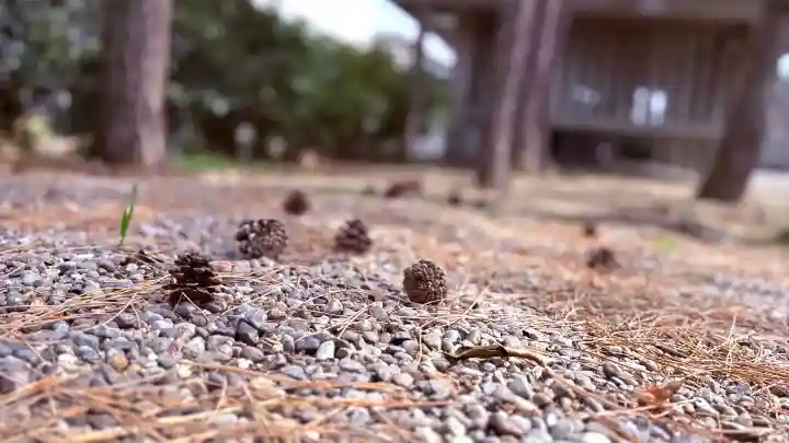 福井神社の{uncategorized: "未分類", other: "その他", undefined: "問題あり", building: "その他建物", grave: "お墓", sacred_gate: "鳥居", guardian: "狛犬", statue: "像", buddha: "仏像", history: "歴史", nature: "自然", garden: "庭園", animal: "動物", pagoda: "塔", temizu: "手水舎", mountain_gate: "山門・神門", sanctuary: "本殿・本堂", subordinate: "末社・摂社", art: "芸術", scenery: "景色", jizo: "地蔵", ema: "絵馬", goshuin: "御朱印", omikuji: "おみくじ", items: "授与品その他", amulet: "お守り", goshuincho: "御朱印帳", eats: "食事", festival: "お祭り", votive_dance: "神楽", shichigosan: "七五三参", wedding: "結婚式", experience: "体験その他", initially: "初詣", around: "周辺", anti_infection: "感染症対策"}