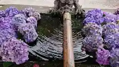 揖宿神社の手水