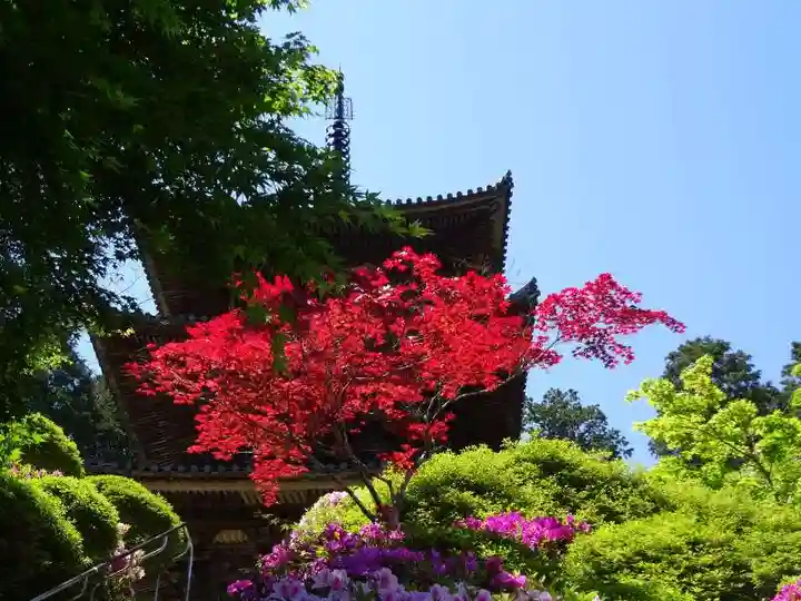 常樂寺(滋賀県)
