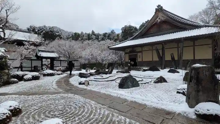 圓光寺(京都府)