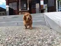 杉杜白髭神社(福井県)