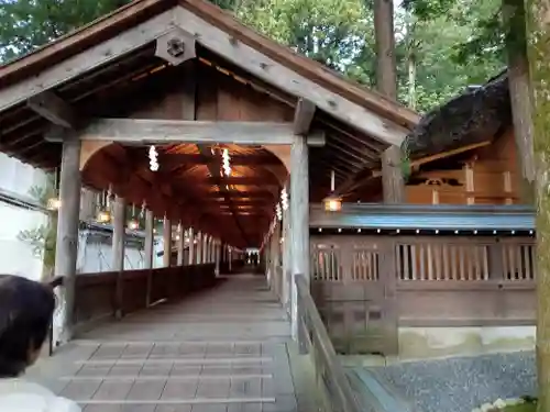 諏訪大社(長野県)