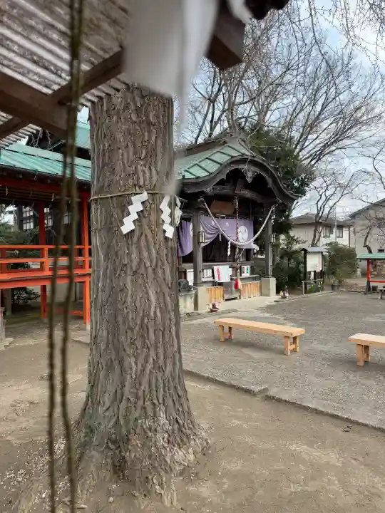 水海道鎮守 八幡神社の{uncategorized: "未分類", other: "その他", undefined: "問題あり", building: "その他建物", grave: "お墓", sacred_gate: "鳥居", guardian: "狛犬", statue: "像", buddha: "仏像", history: "歴史", nature: "自然", garden: "庭園", animal: "動物", pagoda: "塔", temizu: "手水舎", mountain_gate: "山門・神門", sanctuary: "本殿・本堂", subordinate: "末社・摂社", art: "芸術", scenery: "景色", jizo: "地蔵", ema: "絵馬", goshuin: "御朱印", omikuji: "おみくじ", items: "授与品その他", amulet: "お守り", goshuincho: "御朱印帳", eats: "食事", festival: "お祭り", votive_dance: "神楽", shichigosan: "七五三参", wedding: "結婚式", experience: "体験その他", initially: "初詣", around: "周辺", anti_infection: "感染症対策"}