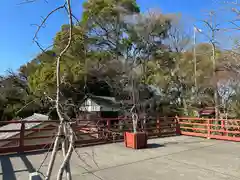 多摩川浅間神社(東京都)