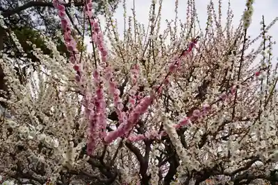 結城神社(三重県)