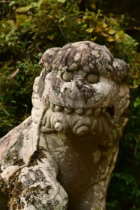 若宮神社(高知県)