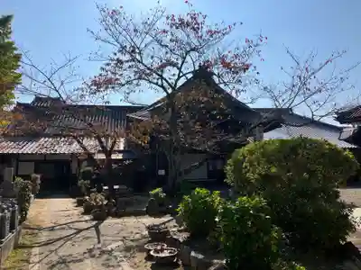 称念寺(奈良県)