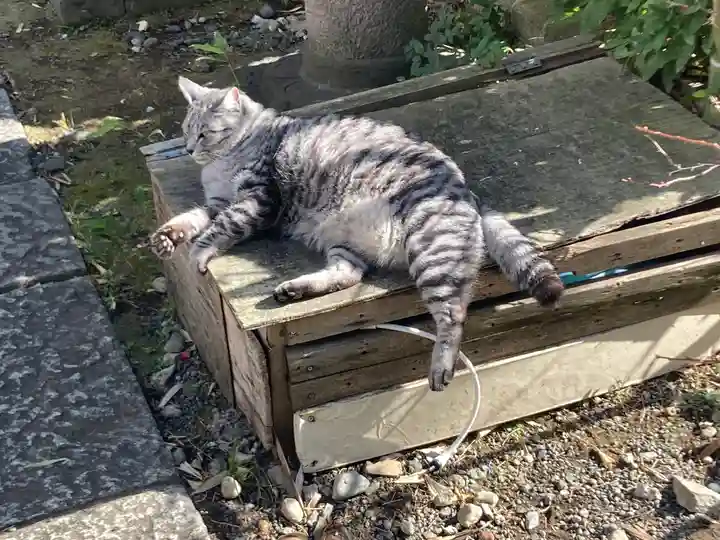 回向院(東京都)