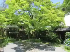 神藏寺の自然