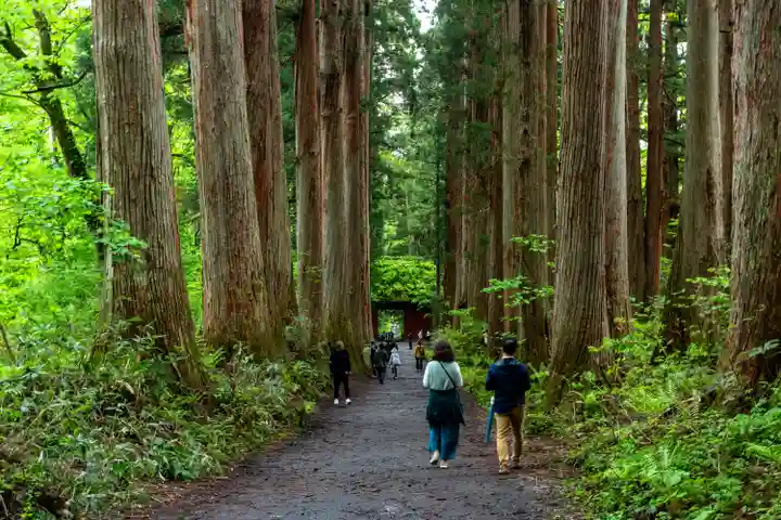 戸隠神社九頭龍社(長野県)