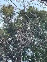 国上寺(新潟県)