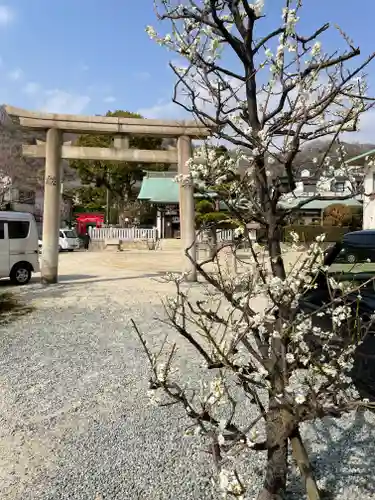 鷺宮八幡神社（保久良神社末社・お旅所）の鳥居