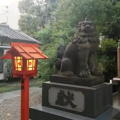 蔵前神社の狛犬