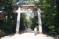 津八幡宮の鳥居