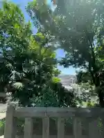 中里熊野神社(神奈川県)