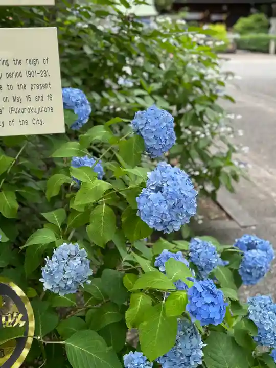 若宮八幡社(愛知県)