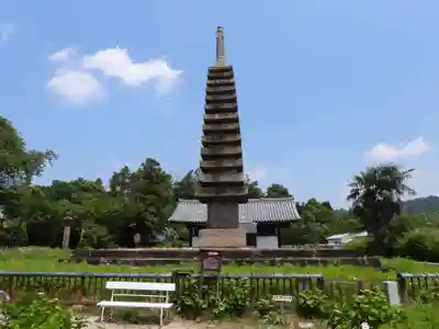 般若寺 ❁﻿コスモス寺❁(奈良県)