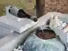 仁木神社の手水舎