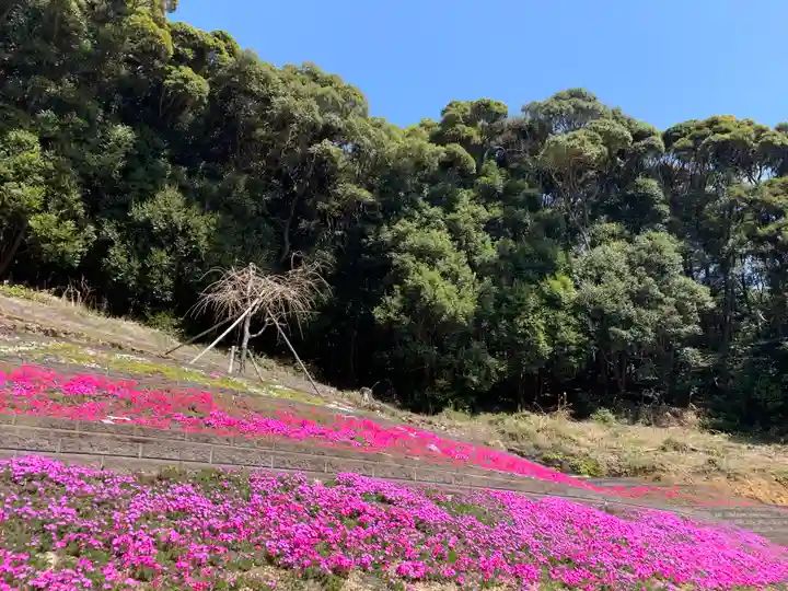 普門寺(切り絵御朱印発祥の寺)(愛知県)