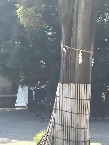 東村山八坂神社(東京都)