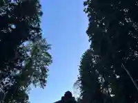 大宮温泉神社(栃木県)