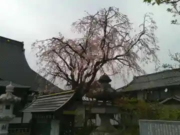 超願寺(山梨県)